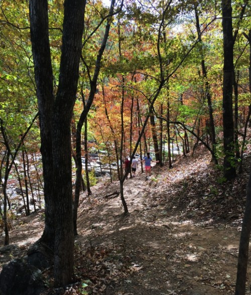 Two people walking along a wooded trail with colorful autumn leaves and a river in the background.