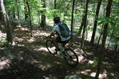A person rides a mountain bike on a dirt trail through a lush green forest.