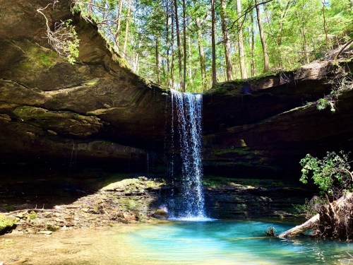 A serene waterfall cascades into a clear pool, surrounded by lush green trees and rocky cliffs.