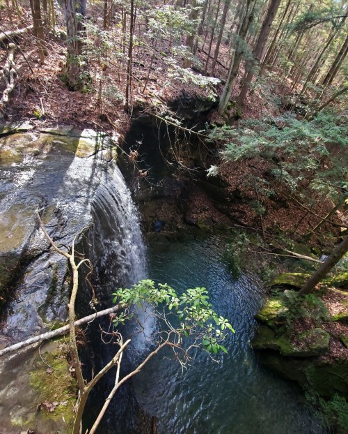 A serene waterfall cascades into a clear pool, surrounded by lush green trees and rocky terrain.
