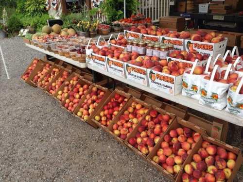 A market display featuring boxes of peaches and other fruits on tables, with a gravel background.