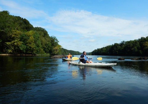 Two people kayaking on a calm river surrounded by lush green trees under a clear blue sky.