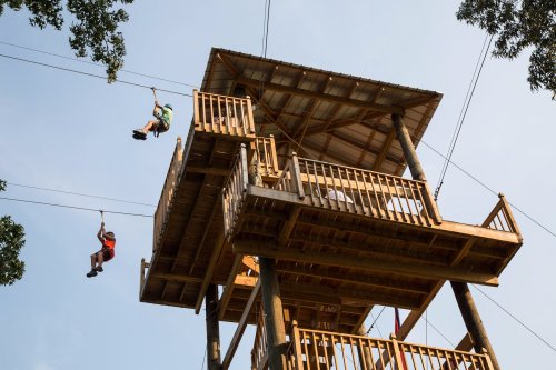 Two children ziplining from a wooden tower, surrounded by trees and a clear blue sky.
