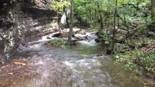 A serene stream flows through a lush forest, with rocks and trees lining the banks and a small waterfall in the background.