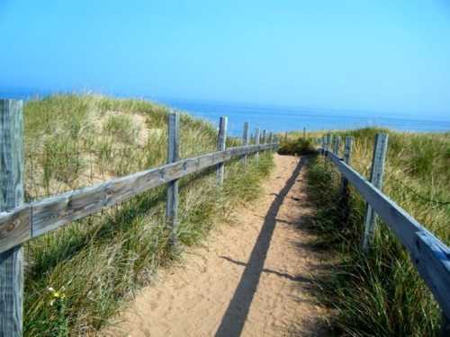 A sandy path with wooden railings leads through tall grass to a serene beach and calm blue ocean under a clear sky.