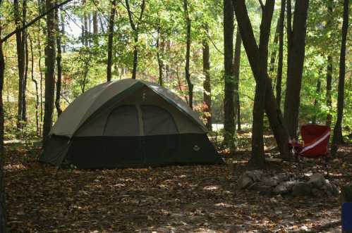 A tent set up in a wooded area with autumn leaves, alongside a red camping chair and a stone fire pit.