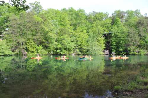 A serene lake surrounded by lush green trees, with several kayakers paddling on the calm water.