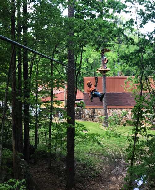 A person zip-lining through a forested area, with trees and a building visible in the background.