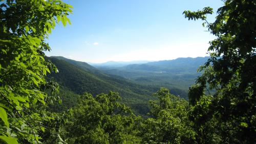 A scenic view of lush green mountains under a clear blue sky, framed by vibrant foliage in the foreground.