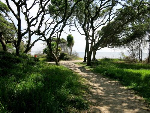 A sandy path winds through lush greenery and trees, leading to a view of the ocean in the distance.