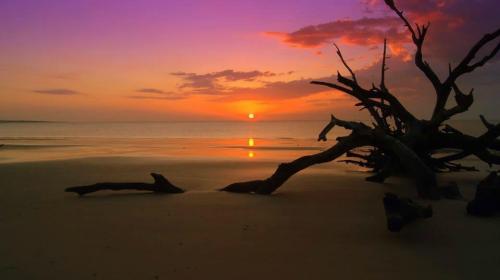 A serene beach at sunset, with vibrant purple and orange skies reflecting on calm waters and driftwood on the sand.