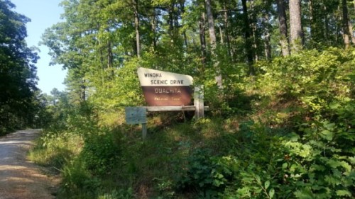 Sign for Winona Scenic Drive in the Ouachita National Forest, surrounded by lush greenery and trees.