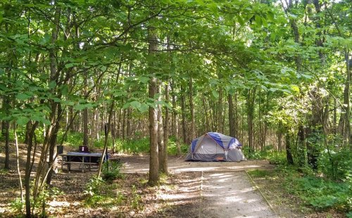 A tent set up in a wooded campsite, surrounded by trees and a picnic table nearby. Sunlight filters through the leaves.
