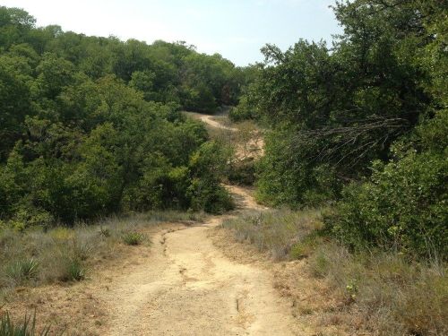 A winding dirt path through lush green trees and shrubs on a sunny day.