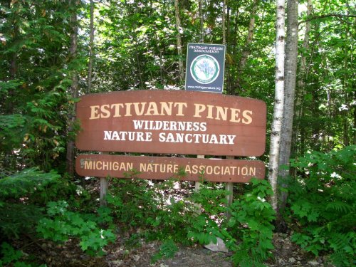 Sign for Estivant Pines Wilderness Nature Sanctuary, surrounded by trees and greenery, promoting conservation in Michigan.