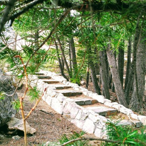 Stone steps lead through a wooded area, surrounded by trees and greenery.