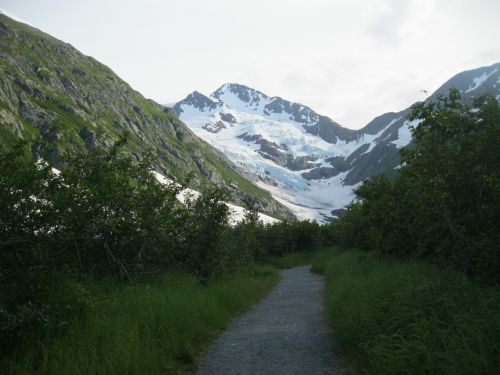 A scenic mountain path leads through lush greenery, with a glacier visible in the distance among snow-capped peaks.