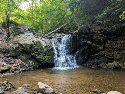 A serene waterfall cascades over rocks into a clear pool, surrounded by lush green trees and foliage.