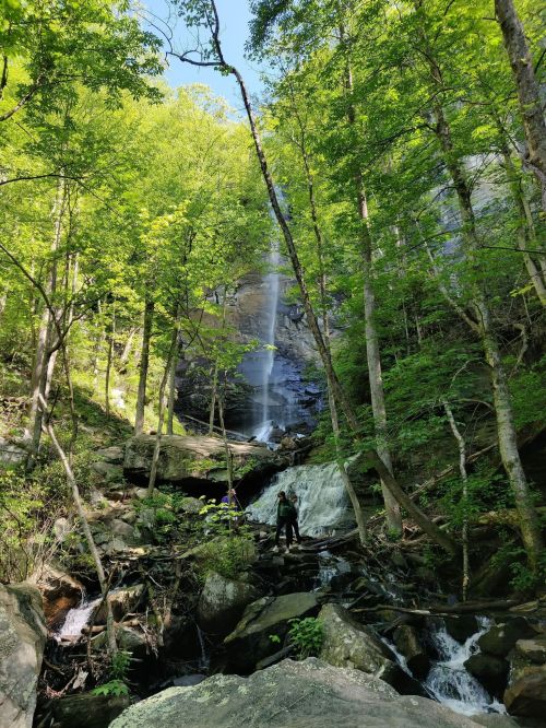A serene waterfall cascades down rocky cliffs, surrounded by lush green trees and a small stream in the foreground.