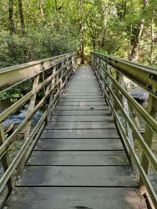 A wooden bridge spans a stream, surrounded by lush green trees in a serene forest setting.