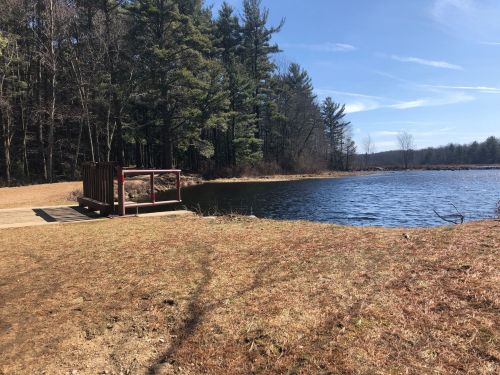 A peaceful lakeside scene with a wooden dock, surrounded by trees and a clear blue sky.