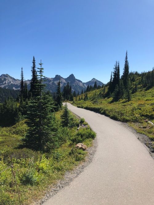 A winding path through a lush green landscape, surrounded by tall trees and mountains under a clear blue sky.