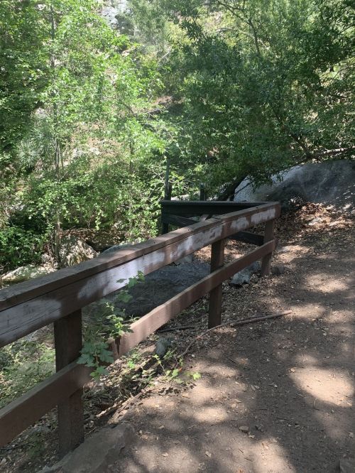 A wooden railing along a dirt path surrounded by lush greenery and rocks in a natural setting.