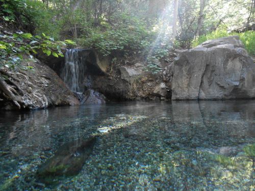 A serene natural scene featuring a small waterfall cascading into a clear pool surrounded by lush greenery.