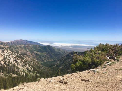 A panoramic view of mountains and valleys under a clear blue sky, with a distant salt flat visible in the background.