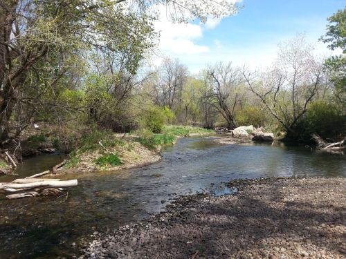 A serene river flows through a lush green landscape, surrounded by trees and rocky banks under a clear blue sky.