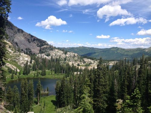 A scenic mountain landscape featuring a serene lake surrounded by lush green trees and rocky hills under a blue sky.