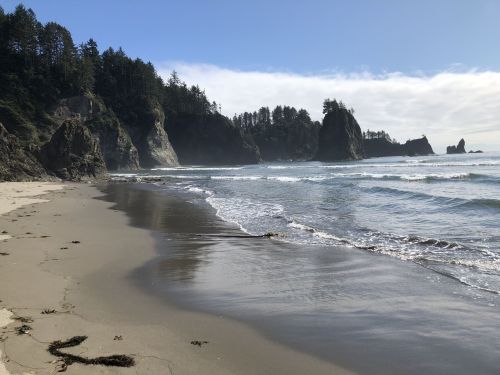 A serene beach scene with gentle waves, rocky cliffs, and lush trees under a clear blue sky.