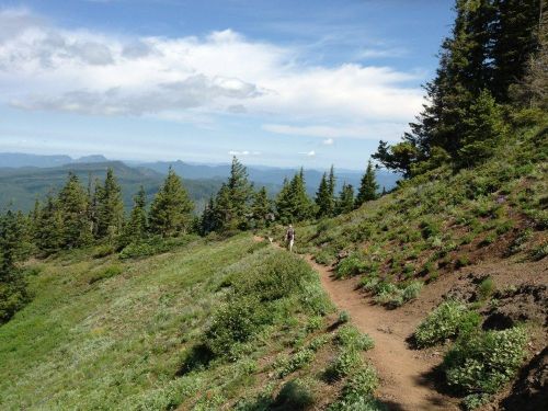 A winding trail through lush green hills, surrounded by trees and mountains under a blue sky with scattered clouds.