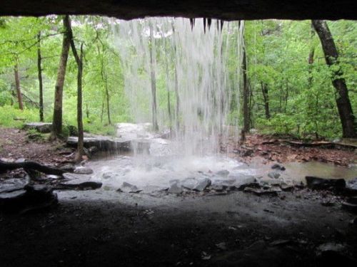 A view from behind a waterfall, surrounded by lush green trees and a rocky ground. Water cascades down in front.