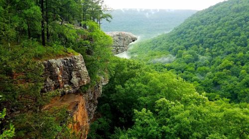 A rocky cliff juts out over a lush green valley, surrounded by dense trees and misty mountains in the background.