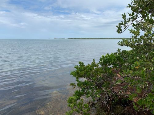 Calm waters stretch to the horizon, framed by lush greenery under a cloudy sky.