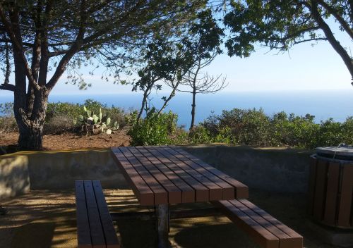 A wooden picnic table surrounded by trees, overlooking a serene ocean view on a sunny day.