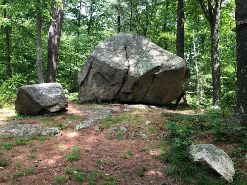 Two large boulders sit on a forest floor surrounded by trees and greenery. Sunlight filters through the leaves.