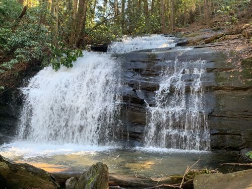 A serene waterfall cascading over rocky ledges, surrounded by lush green trees in a tranquil forest setting.