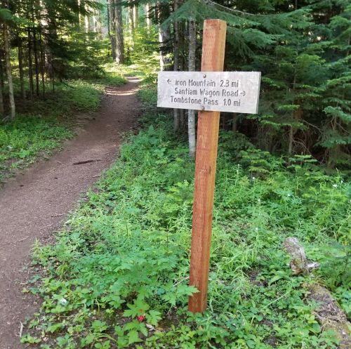 Wooden trail sign indicating directions to Iron Mountain (2.3 mi), Santiam Wagon Road, and Tombstone Pass (1.0 mi).