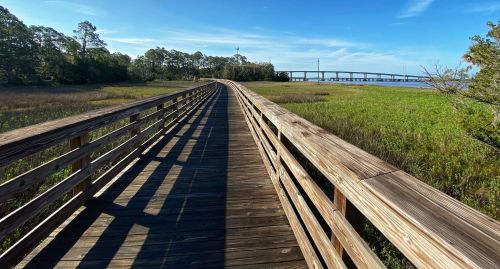 A wooden boardwalk leads through tall grass, with a bridge visible in the distance under a clear blue sky.
