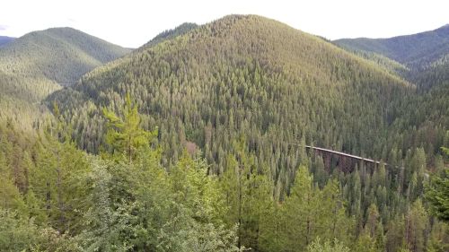 A panoramic view of lush green mountains and dense forests, with a bridge visible in the valley below.