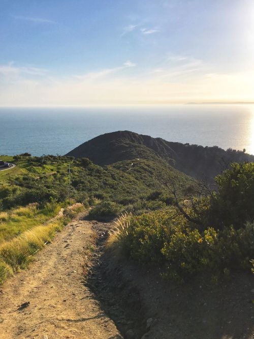 A scenic view of a coastal landscape with a dirt path leading down to the ocean, surrounded by greenery and hills.