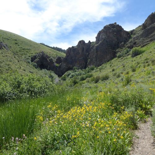 A scenic landscape featuring green hills, rocky formations, and a vibrant field of yellow wildflowers.