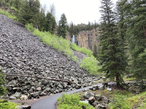 A rocky hillside with a waterfall in the background, surrounded by trees and a winding path.