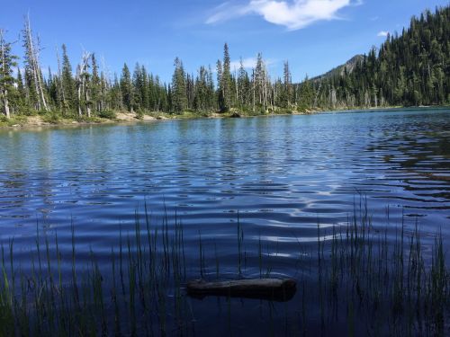 A serene lake surrounded by trees and mountains, with gentle ripples on the water's surface under a clear blue sky.