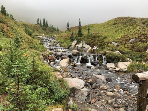 A serene landscape featuring a small waterfall flowing through rocky terrain, surrounded by lush greenery and misty hills.