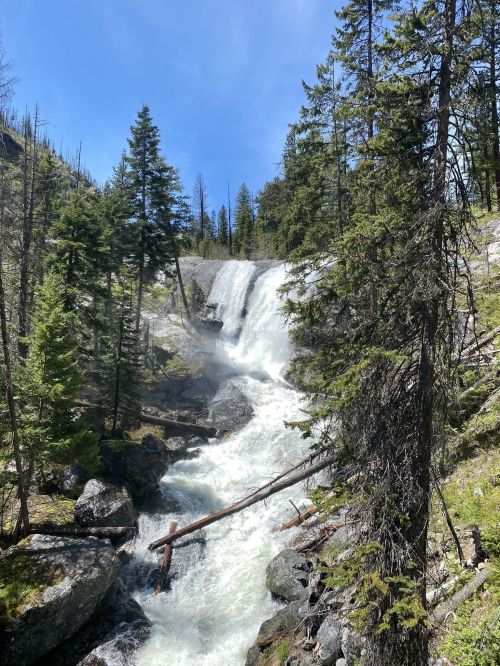 A cascading waterfall flows down rocky terrain, surrounded by lush green trees under a clear blue sky.