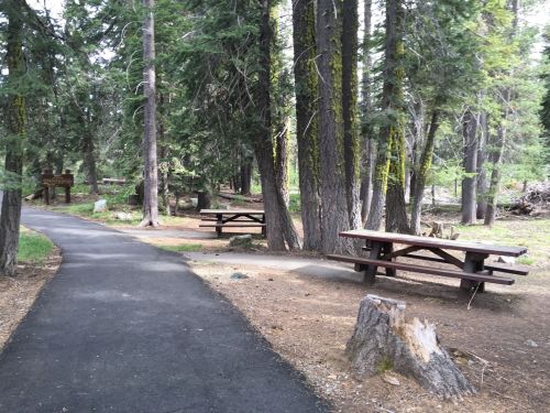 A peaceful forest path with picnic tables surrounded by tall trees and natural scenery.