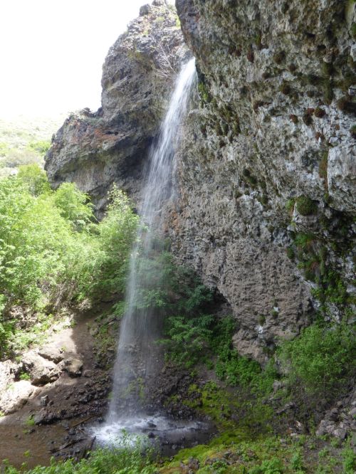 A waterfall cascades down a rocky cliff surrounded by lush greenery and moss-covered ground.